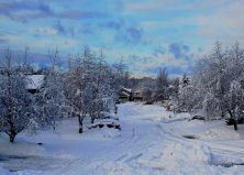 anchorage alaska winterscape.jpg